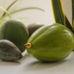 Butter Fruit | Avocado | ಬೆಣ್ಣೆ ಹಣ್ಣು