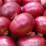 Onion | ಈರುಳ್ಳಿ