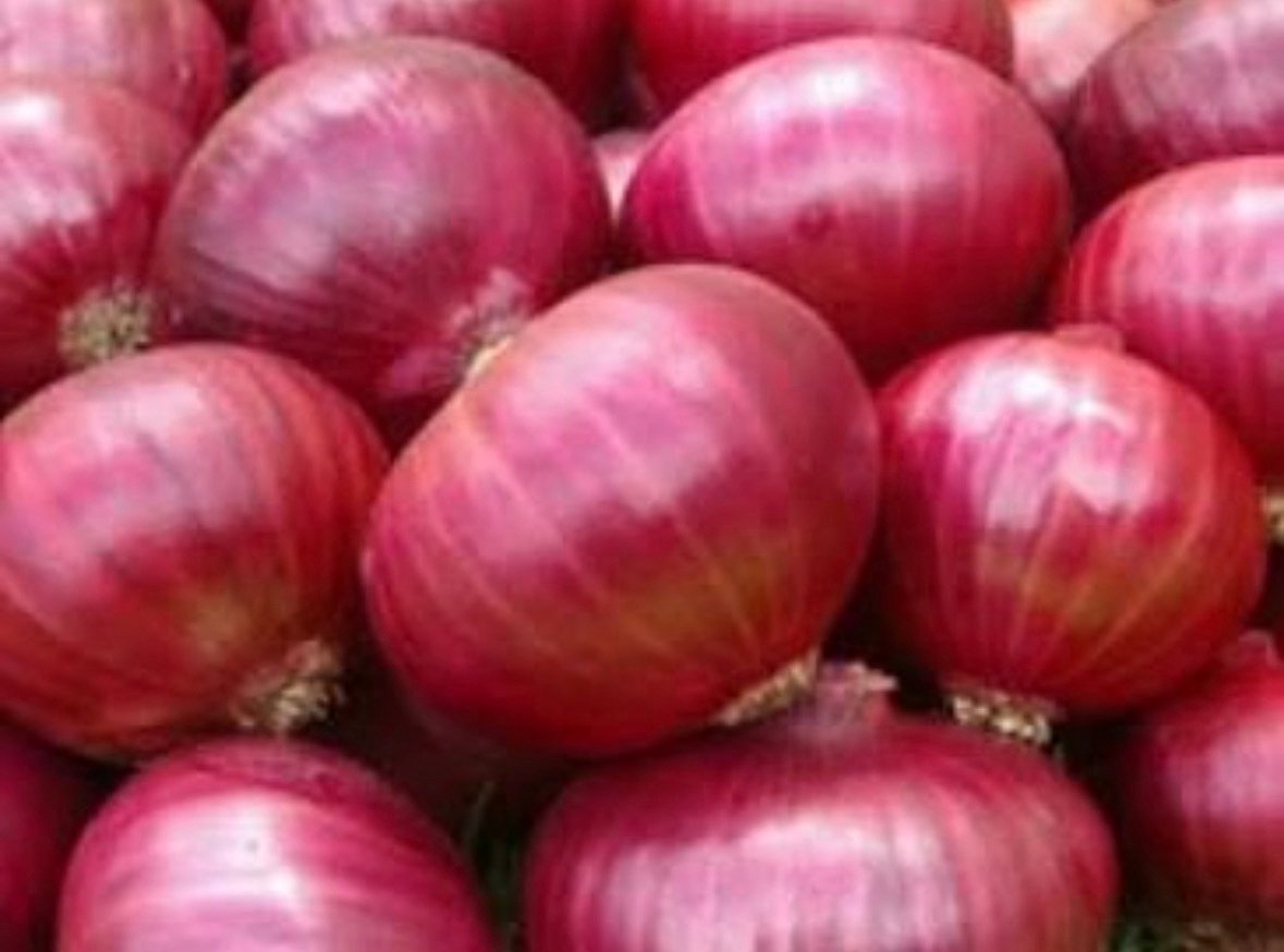 screenshot-2 Onion | ಈರುಳ್ಳಿ - Image 1