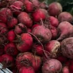 Beetroot | ಬೀಟ್‌ರೂಟ್