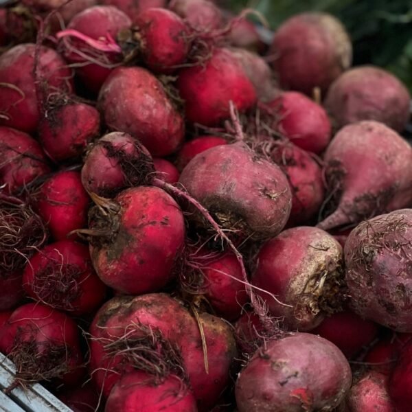 Beetroot | ಬೀಟ್‌ರೂಟ್