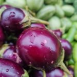 Brinjal | ಬದನೆಕಾಯಿ