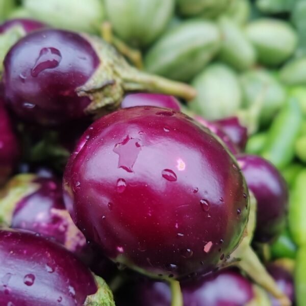 Brinjal | ಬದನೆಕಾಯಿ