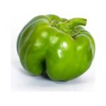 Capsicum | ದೊಣ್ಣೆ ಮೆಣಸಿನಕಾಯಿ