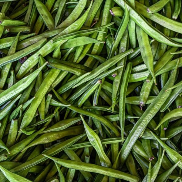 Cluster Beans | ಗೋರಿಕಾಯಿ