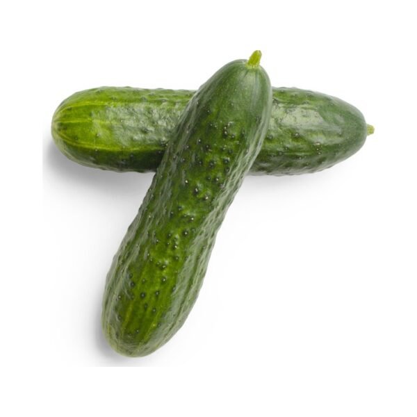Cucumber | ಸೌತೆಕಾಯಿ