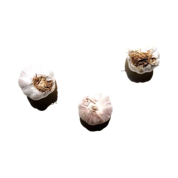 Garlic | ಬೆಳ್ಳುಳ್ಳಿ