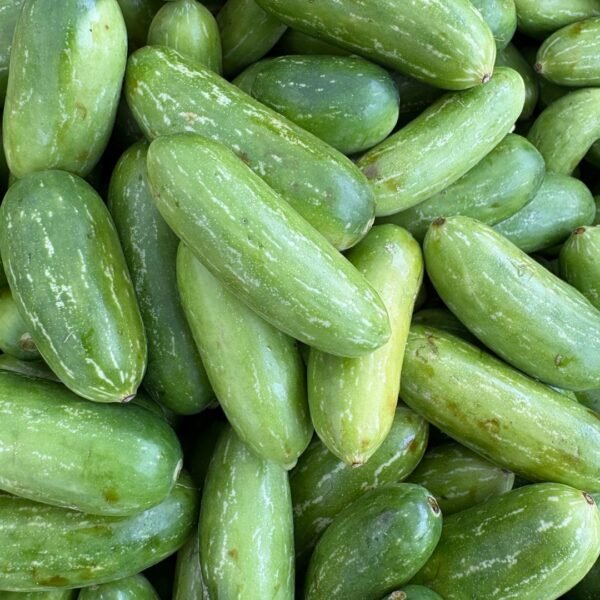 Ivy Gourd | ತೊಂಡೆಕಾಯಿ
