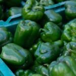 Naati Capsicum | ನಾಟಿ ದೊಣ್ಣೆ ಮೆಣಸಿನಕಾಯಿ