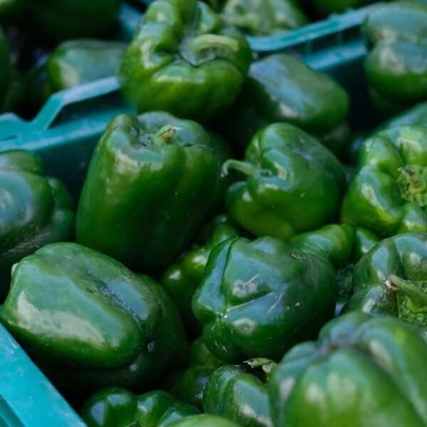 Naati Capsicum | ನಾಟಿ ದೊಣ್ಣೆ ಮೆಣಸಿನಕಾಯಿ