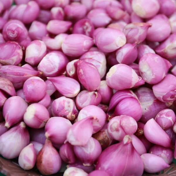 Naati Onion | ನಾಟಿ ಈರುಳ್ಳಿ