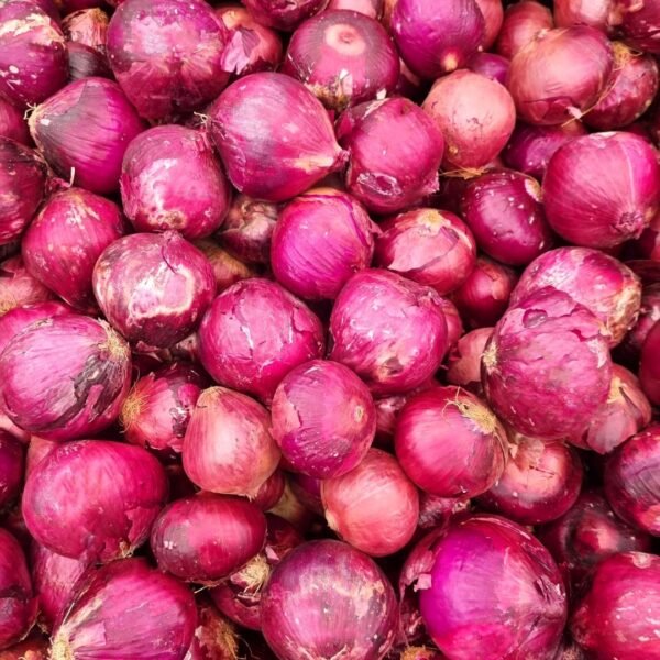 Onion | ಈರುಳ್ಳಿ