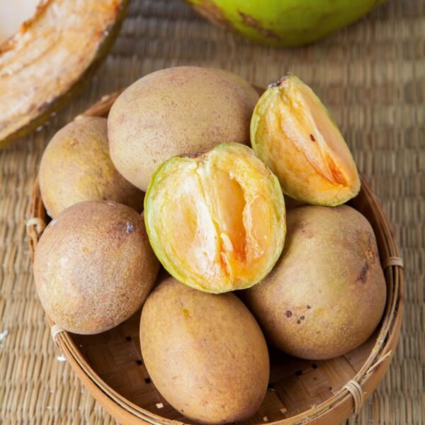 Sapota | ಸಪೋಟ