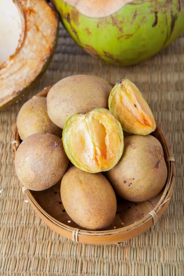 Sapota | ಸಪೋಟ